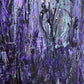 Lavendelträume - Gemälde Nr. 563