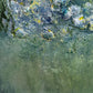 Zwischen Licht und Moos - Gemälde Nr. 595